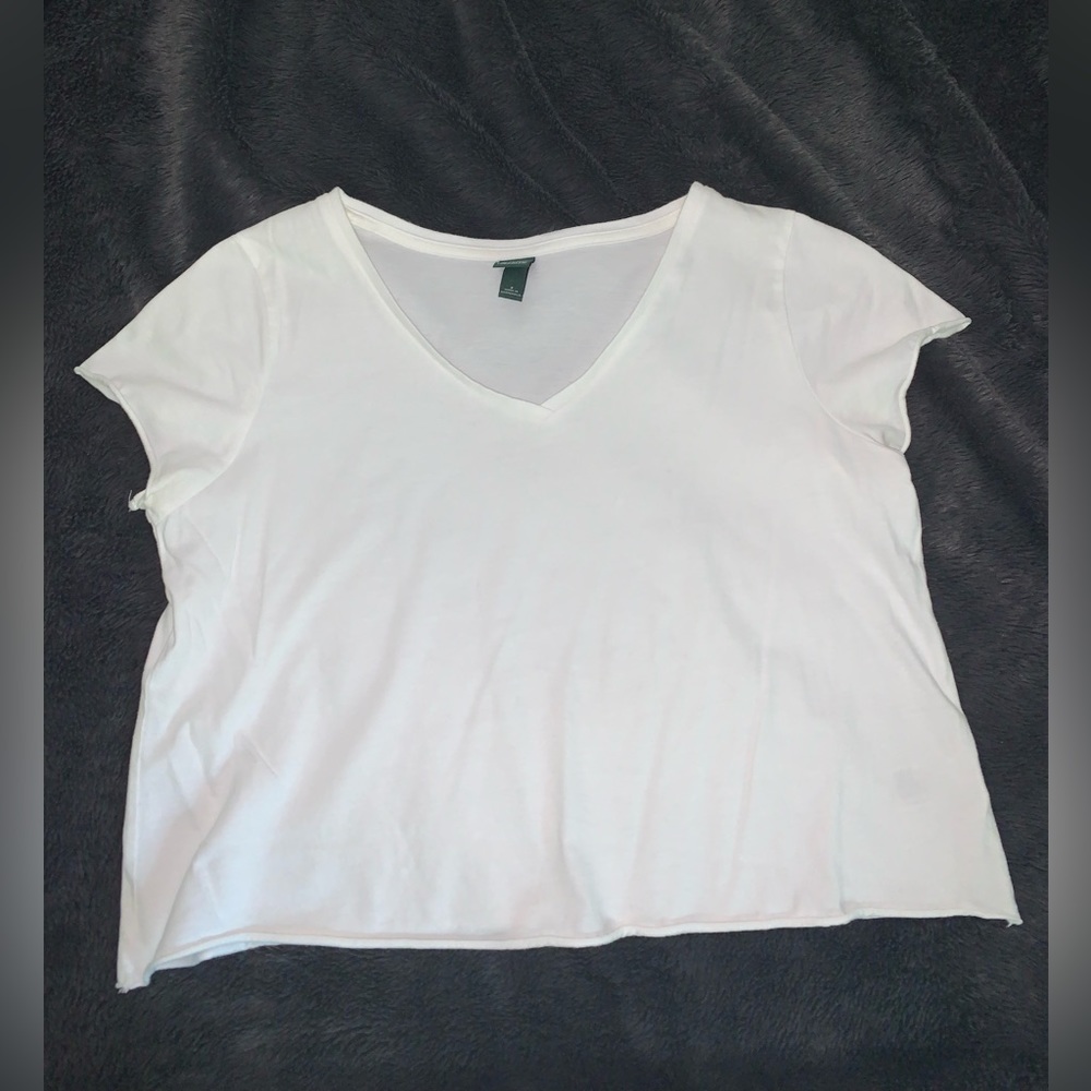 Wild Fable Short Sleeve V-Neck Cropped Tshirt